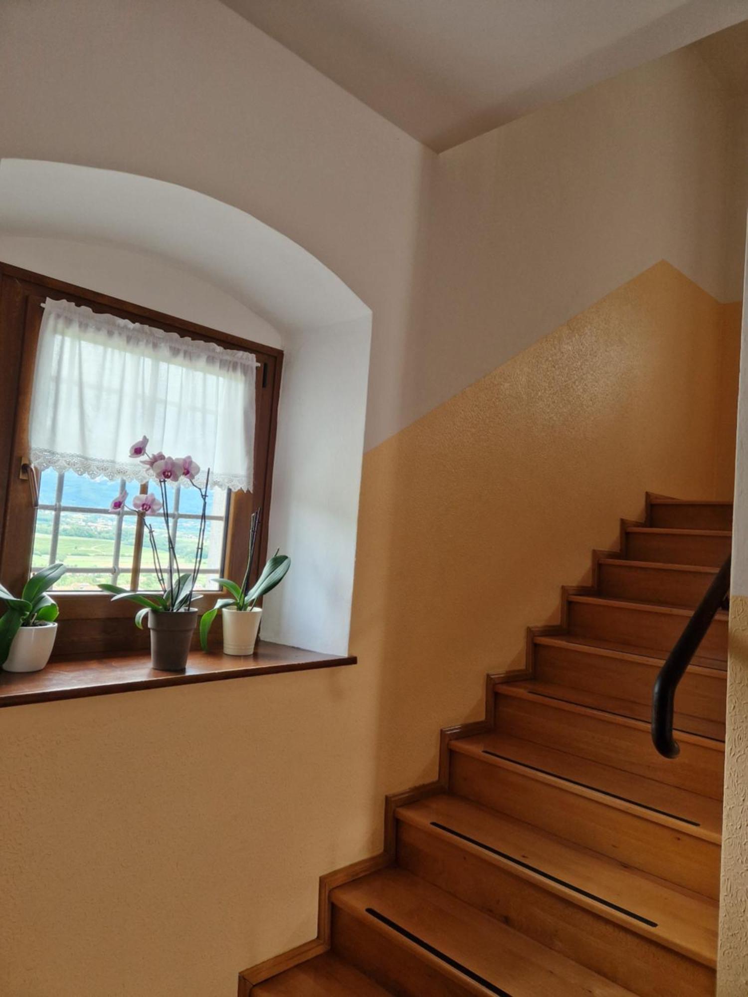 Apartma In Soba Vipavski Kriz Ajdovščina エクステリア 写真